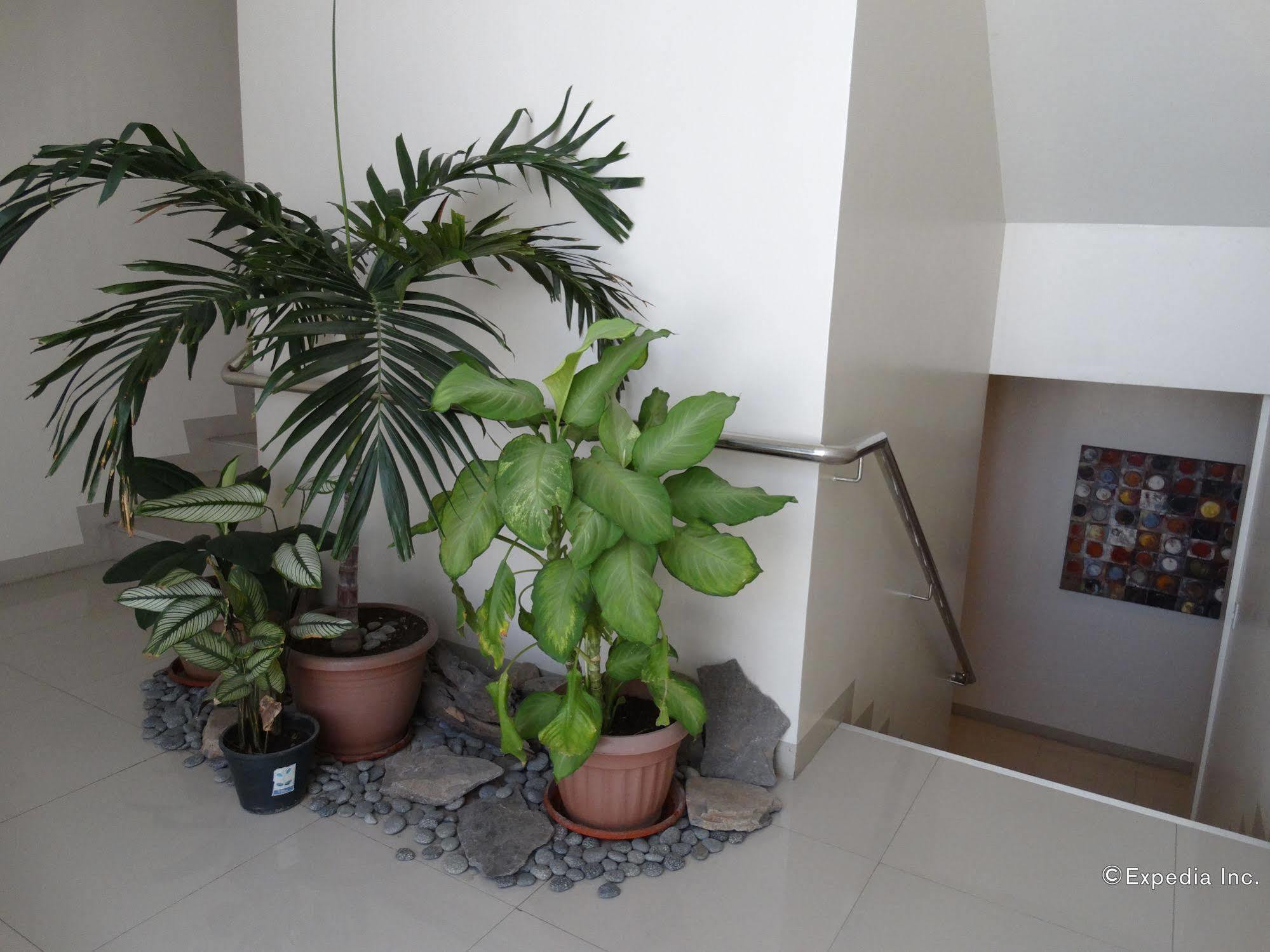 Infinity Suites Davao City Eksteriør billede